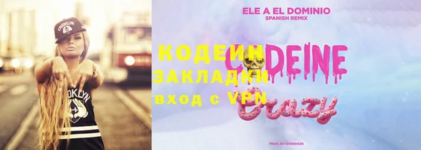 индика Видное