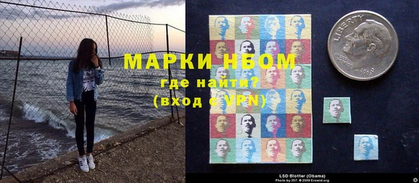 индика Видное