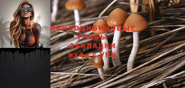 ешки Вуктыл
