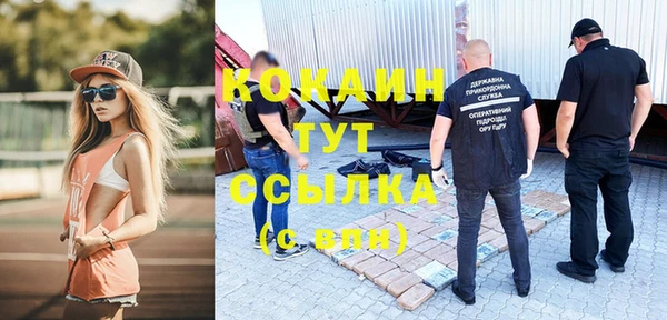 индика Видное