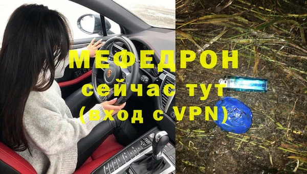 индика Видное