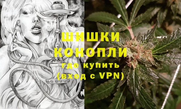 индика Видное