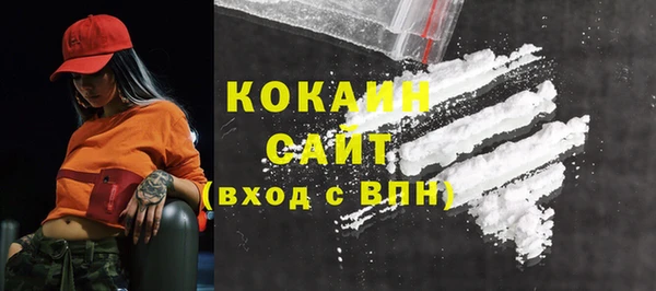индика Видное