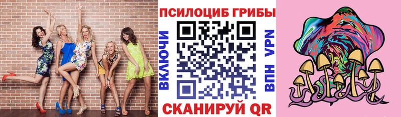 Галлюциногенные грибы MAGIC MUSHROOMS  Данилов 
